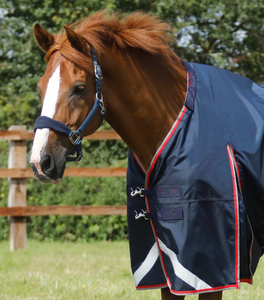 Couverture de cheval personnalisée durable, couverture d'équitation de qualité supérieure, imperméable, respirante, couverture de cheval personnalisée pour l'extérieur - Product Image 2