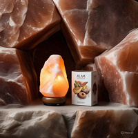 Lampe de sel de l'Himalaya écologique personnalisée de 1-2 kg, faite à la main, motifs animaux, croix, fleurs, lettres religieuses, Feng Shui – Meilleures ventes