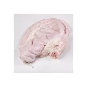 Nutritious 24 Months Top Roast Poultry Products Sale Frozen Meat Pork Stomachs Supplier Origin Frozen Processing Fresh Pork