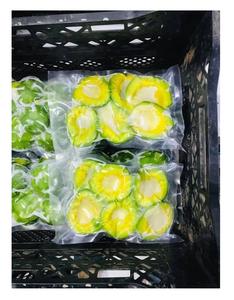 Venta al por mayor aguacate congelado fruta tropical verde con alta calidad y precio competitivo exportación estándar aguacate congelado - Product Image 4