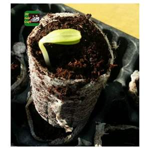 ECO COCO COIR PELLETS BIO SEED STARTER DISK POUR Pépinière SERRE ET JARDIN PROJET VENTE EN GROS - Product Image 4