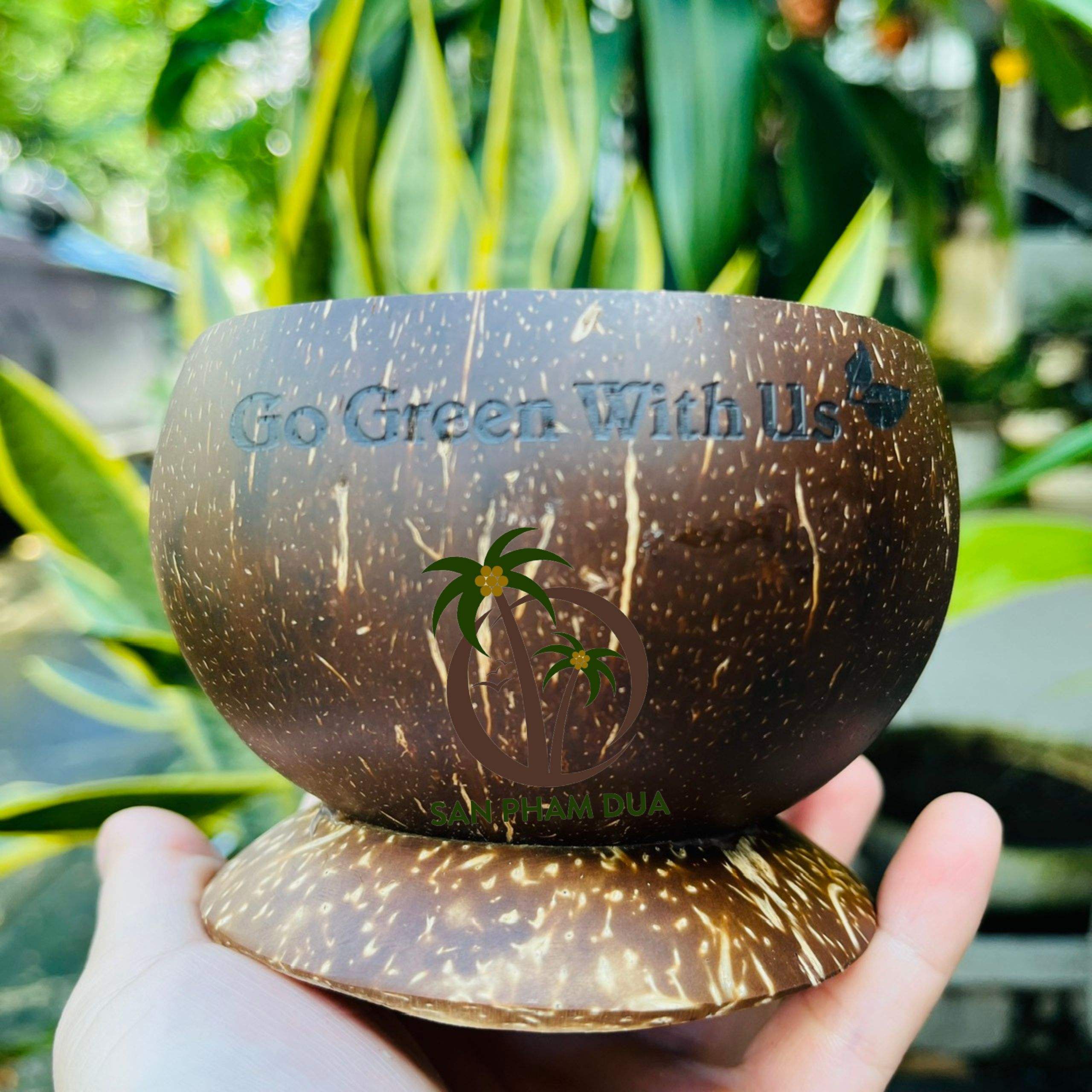 natural color of coconut shell