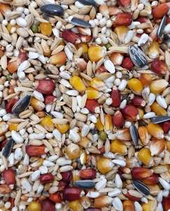 Wholesale Premium <b>Pigeon</b> <b>Feed</b> Mix | Racing <b>Pigeon</b> Food | OEM Private Label Available - Product Image 4