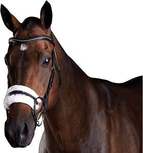 HORZE Bride sans mors pour l'équitation Produit de cheval en cuir confortable - Product Image 3