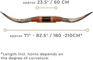 ของตกแต่งผนังรูปวัวติดผนังสำหรับห้องนั่งเล่นสไตล์บ้านไร่และตกแต่งภายในกระท่อม  วัวติดผนังแท้ ราคาถูกที่สุด - Product Image 2