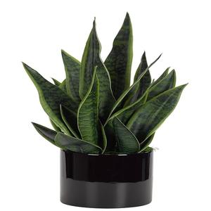 Macetas decorativas de Color negro de último diseño, maceta decorativa antigua de gran tamaño para el hogar, accesorio de jardín de gran venta - Product Image 6