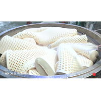 Natürliche Queen-Size Latex Luxus-Matratze Hypoallergen Vietnam-Herkunft 200cm Kühlende Matratzenauflage für Zuhause, Schule, Krankenhaus