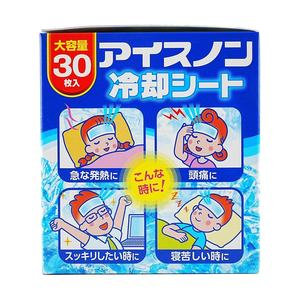 HAKUGEN30 Paquetes de Hielo Promocionales - Material de PE No Tóxico para Reuniones Familiares y Fiestas - Product Image 3