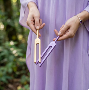 Juego de Diapasones de 12 Minerales Nutritivos de Mars Manufacture para Terapia de Sanación - Product Image 2