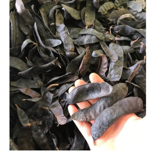 PODS DE GLEDITSIA SÉCHÉES NATURELLES PREMIUM PARFAITES POUR LES EXTRAITS DE THÉ AUX HERBES ET LES PRODUITS ÉCO POUR LES CHEVEUX - Product Image 1