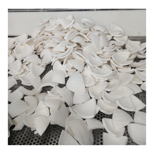 Vente en gros de viande de noix de coco jeune congelée en tranches de chair tendre en vrac pour dessert smoothie et utilisation en usine - Product Image 1