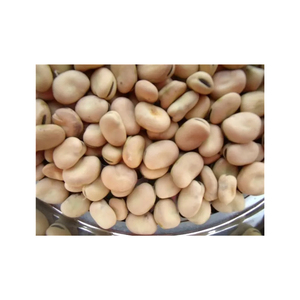 พืชใหม่ถั่ว Fava แห้ง / ถั่ว Fava / ถั่วกว้างในเปลือกสําหรับให้อาหารปลา, อาหารปลา - Product Image 5