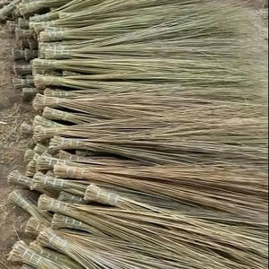 ไม้กวาดใบมะพร้าวแท้จากเวียดนาม: โซลูชันการทำความสะอาดที่มีคุณภาพสูงใช้งานได้ยาวนานและเป็นมิตรกับสิ่งแวดล้อม - Product Image 1