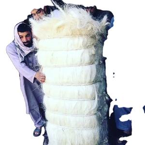 Fibre de sisal naturelle UG et SSUG de qualité exportée/fibre de sisal - Product Image 1