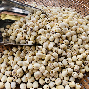 Graines de lotus entières séchées extrêmement riches en nutriments, graines de lotus brutes de haute qualité pour le thé, à boire après mélange avec de l'eau - Product Image 1