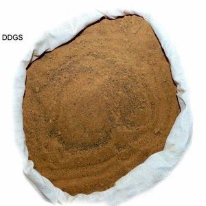 DDGS de riz d'alimentation animale de première qualité avec des aliments pour volailles à haute teneur en protéines au prix le plus bas d'Inde - Product Image 2