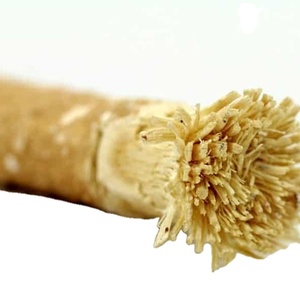 Barra de Miswak Herbal Multiusos, Limpieza Dental Natural, Sewak, Siwak, Higiene Bucal - Product Image 3