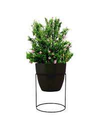 Nouvelle arrivée Antique Flower Planter Pot de jardinage Home Decor prix de gros de l'Inde - Product Image 2