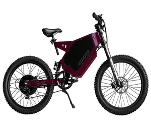 Meilleur vélo électrique original unique 100% 500-3000w avec pneus larges disponible - Product Image 4