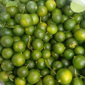 Poudre de Calamansi 100% Naturelle, Poudre de Fruit Pure, Qualité Alimentaire, Vitamine C, Matière Première Cosmétique - Product Image 3