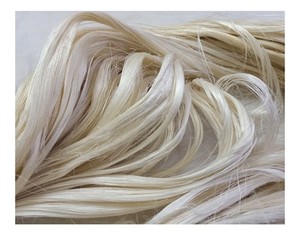 Fibra de lino de calidad/fibra de sisal calidad de yeso - Product Image 6