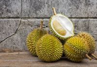 100% Natuurlijke Premium Kwaliteit Verse Durian Fruit Gezonde Verse Export Groothandel Doerians Durian Fruit Vers