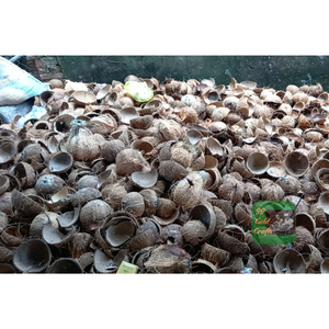 MATIÈRE PREMIÈRE QUALITÉ DE COQUE DE NOIX DE COCO DU VIETNAM POUR L'ARTISANAT ÉCOLOGIQUE ET L'INDUSTRIE DE FABRICATION DE CHARBON DE BOIS - Product Image 3