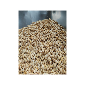 Cebada Granos Premium Cebada/Cebada de Malta - Product Image 3