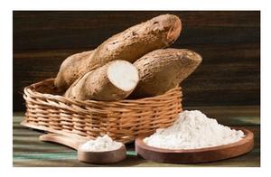 [Best Seller] Venta al por mayor de almidón de tapioca de Vietnam-Los productos de alta calidad cumplen con los estándares de exportación con un precio competitivo - Product Image 6