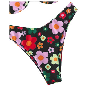 Prix d'usine, ensemble de bikini 2 pièces pour femmes, imprimé animal, soutien-gorge triangle, séchage rapide, respirant, vêtements de plage, maillots de bain - Product Image 3