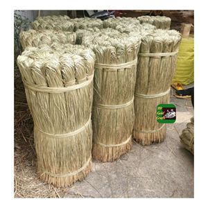 Herbe marine séchée naturelle, matière première pour la production artisanale traditionnelle de paniers, de tapis, de tapisseries et d'articles de décoration écologiques - Product Image 6