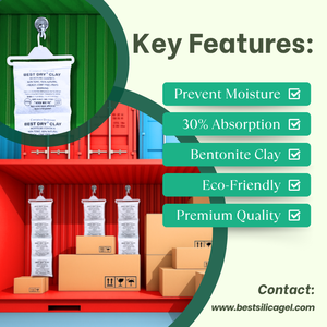 สารดูดความชื้นในภาชนะดินเหนียวแห้งชนิดดีที่สุด 100 กรัม - ป้องกันความชื้นและเชื้อราอย่างเหนือชั้น ผลิตในบังคลาเทศ (ขนส่งทางเรือ) - Product Image 1