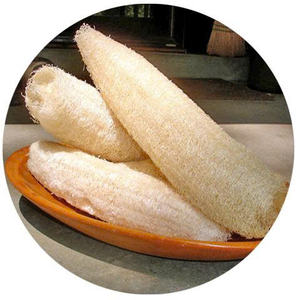 Esponja Vegetal Vietnamita Auténtica de la Granja al Spa, Libre de Químicos y Biodegradable, Ms.May - Product Image 4