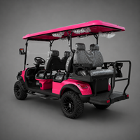 Voiturette de golf électrique 6 places améliorée UCB-DH-14, buggy de transport avancé pour hôtels et complexes hôteliers