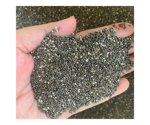 Semillas de albahaca de alta calidad Pure Vietnam Semillas de albahaca de alta calidad para batidos Venta al por mayor Exportación a granel Mejor precio Semillas de albahaca para la venta - Product Image 3