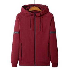 Sudaderas con capucha personalizadas para hombres 100% algodón peso pesado calidad de lujo Puff impresión ropa de calle de gran tamaño pulóver sudaderas con capucha para hombres - Product Image 2