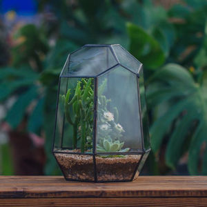 Terrario de cristal transparente de diseño moderno de alta calidad, jarrón geométrico de Color negro, maceta para decorar jardín y hogar, balcón multiusos - Product Image 4