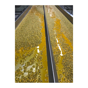 Fruit de la passion congelé de qualité supérieure à l'exportation, idéal pour les chaînes de smoothies de restaurants et les distributeurs en gros mondiaux - Product Image 1