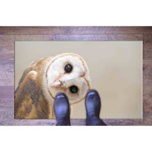 Alfombra Estampada con Diseño de Búho: Personalizada, para Baño, Decoración de Oficina, Animal, Contemporánea, con Pelo Suave - Product Image 5