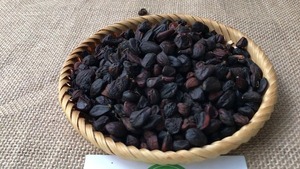 Semillas Doi recién cosechadas-Semillas silvestres orgánicas del norte de Vietnam - Product Image 6