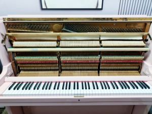 Piano Acústico Vertical Usado KAWAI KU1D Rosa, de Calidad Profesional Japonesa, con Estilo Mecánico, para Exportación al por Mayor - Product Image 5
