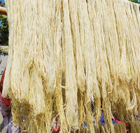 Serat daun Pandan alami | Bahan tanaman ramah lingkungan untuk kerajinan, tekstil, tali & produk ekspor berkelanjutan