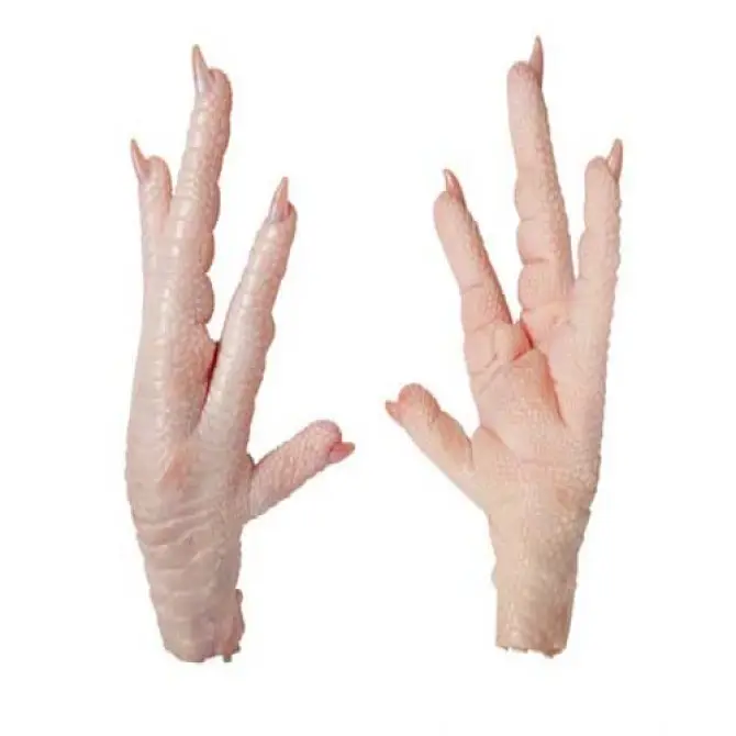 Chicken Feet Wholesale Poultry Meat Suppliers Preservation Food Processing Frozen Chicken Feet For Sale