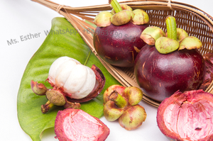 Meilleur prix pour la mangoustanine fraîche d'origine vietnamienne - Product Image 5