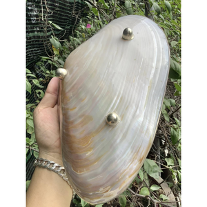 Platos de caviar de concha de alta calidad: Juegos de platos y cucharas de nácar, accesorios hechos a mano. - Product Image 2