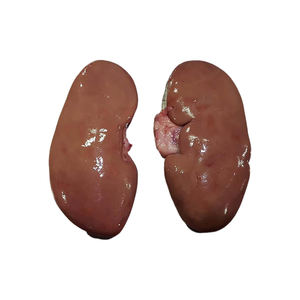 Factory Price Frozen <b>Pork</b> Kidneys supplied for large volume orders - Product Image 4