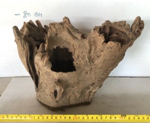 Souche de bois flotté naturel Unique de thaïlande - Product Image 4