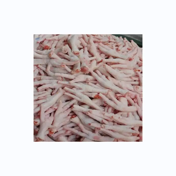 Approved Frozen chicken paw/Frozen Chicken Feet PROCESSED & UNPROCESSED CERTIFIED FROZEN CHICKEN FEET & PAWS APPROVED High Quali