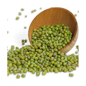 เครื่องผลิตถั่วเขียวแห้งเกรดพรีเมี่ยม - Product Image 5