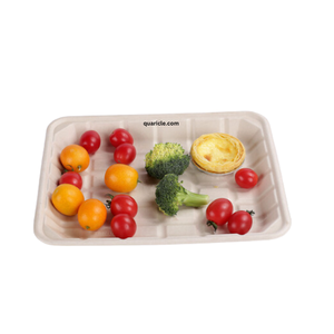 Vente en gros élégant plateau intelligent 2D design rectangle écologique fait bagasse de canne à sucre pour hôtels événements voyage camping - Product Image 3